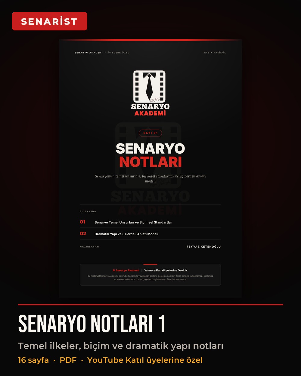 Senaryo Notları · Sayı 01 kapağı